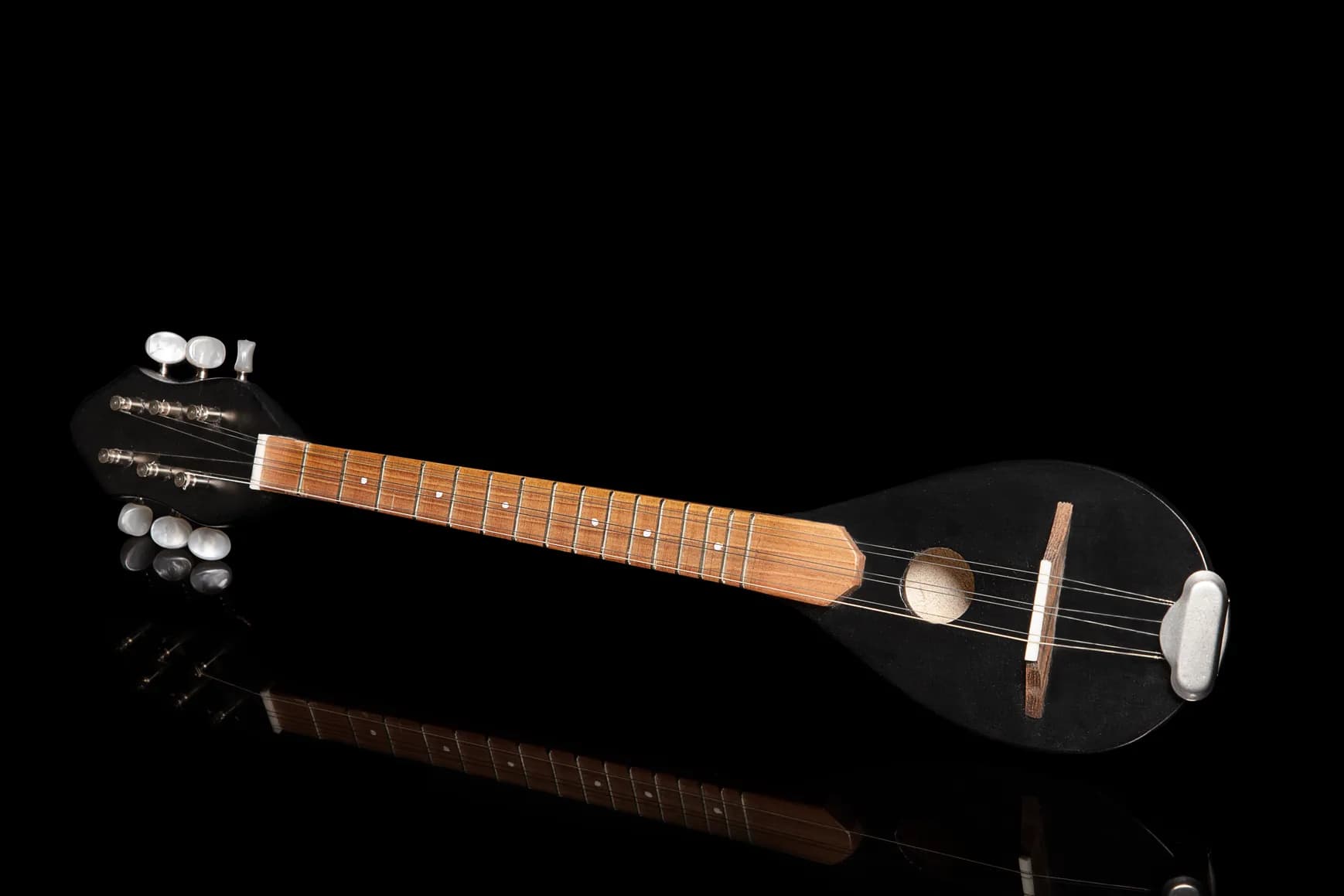 The Luthier's Foundation